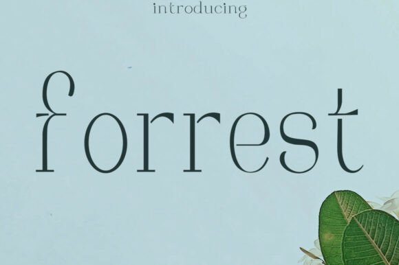 Forrest: Where Classic Serif Elegance Meets Modern Design Needs